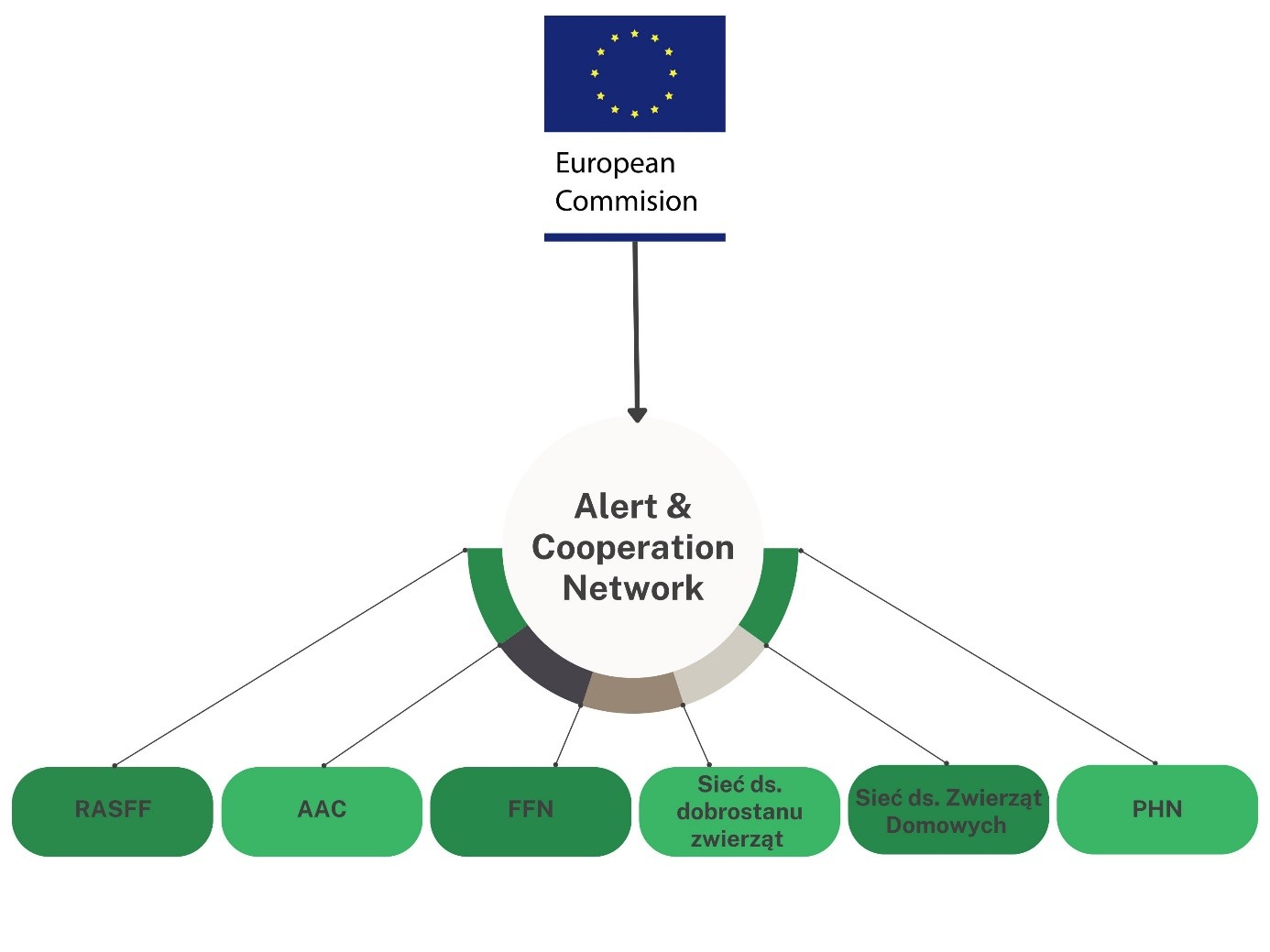 Schemat sieci Alert & Cooperation Network Komisji Europejskiej z sześcioma powiązanymi systemami: RASFF, AAC, FFN, Sieć ds. dobrostanu zwierząt, Sieć ds. Zwierząt Domowych i PHN. Schemat przedstawiający strukturę Alert & Cooperation Network (Sieci Ostrzegania i Współpracy) podlegającej Komisji Europejskiej. Z sieci tej wychodzi sześć powiązanych systemów: RASFF (system wczesnego ostrzegania o niebezpiecznej żywności i paszach), AAC (Administrative Assistance and Cooperation), FFN (Food Fraud Network), Sieć ds. dobrostanu zwierząt, Sieć ds. Zwierząt Domowych oraz PHN (Pesticides Helpdesk Network).